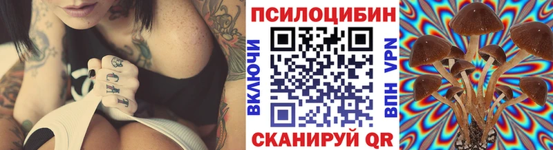 Псилоцибиновые грибы Psilocybe  это Telegram  Карасук  купить  цена 
